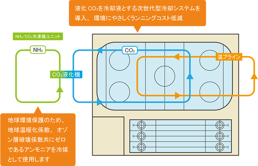 最新ecoシステム概要